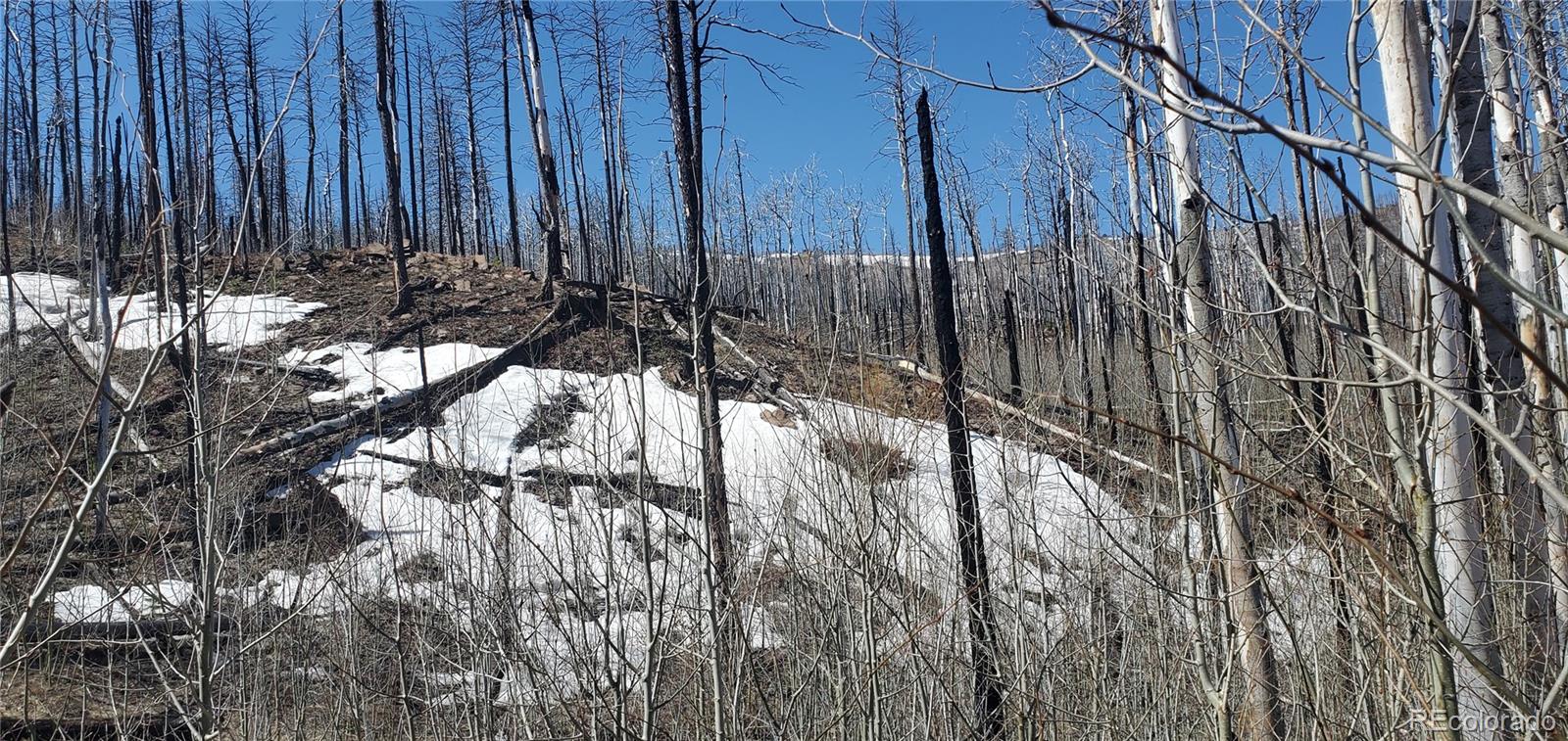 Lot's 854,855 Slaoui Place Fort Garland CO 81133