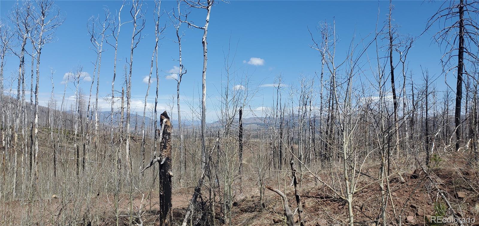 Lot's 854,855 Slaoui Place Fort Garland CO 81133
