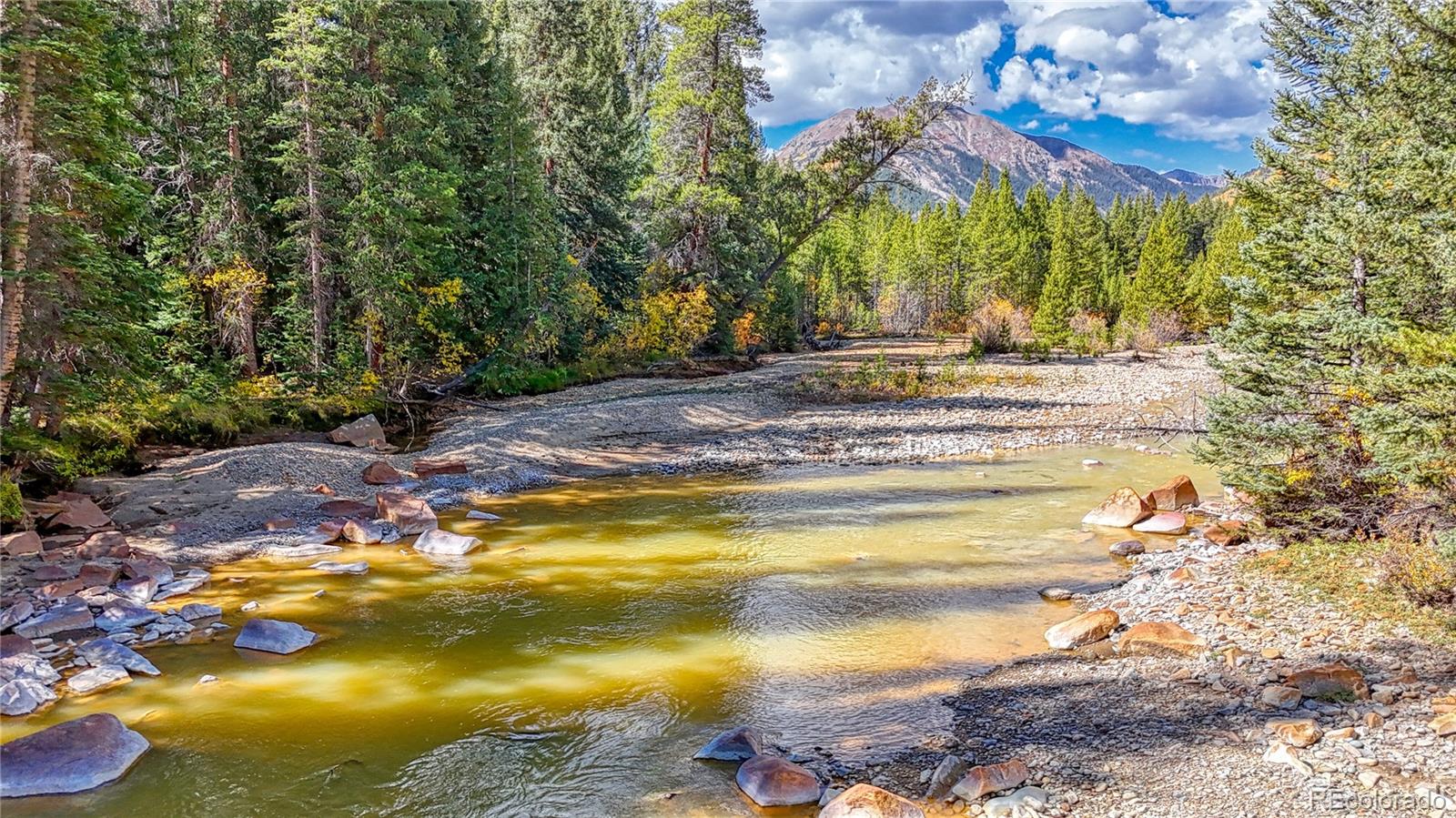 Tbd Highway 82 Twin Lakes CO 81251