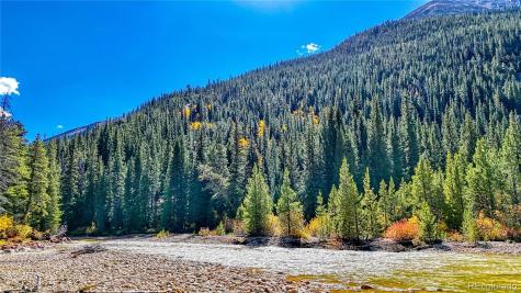 Tbd Highway 82 Twin Lakes CO 81251
