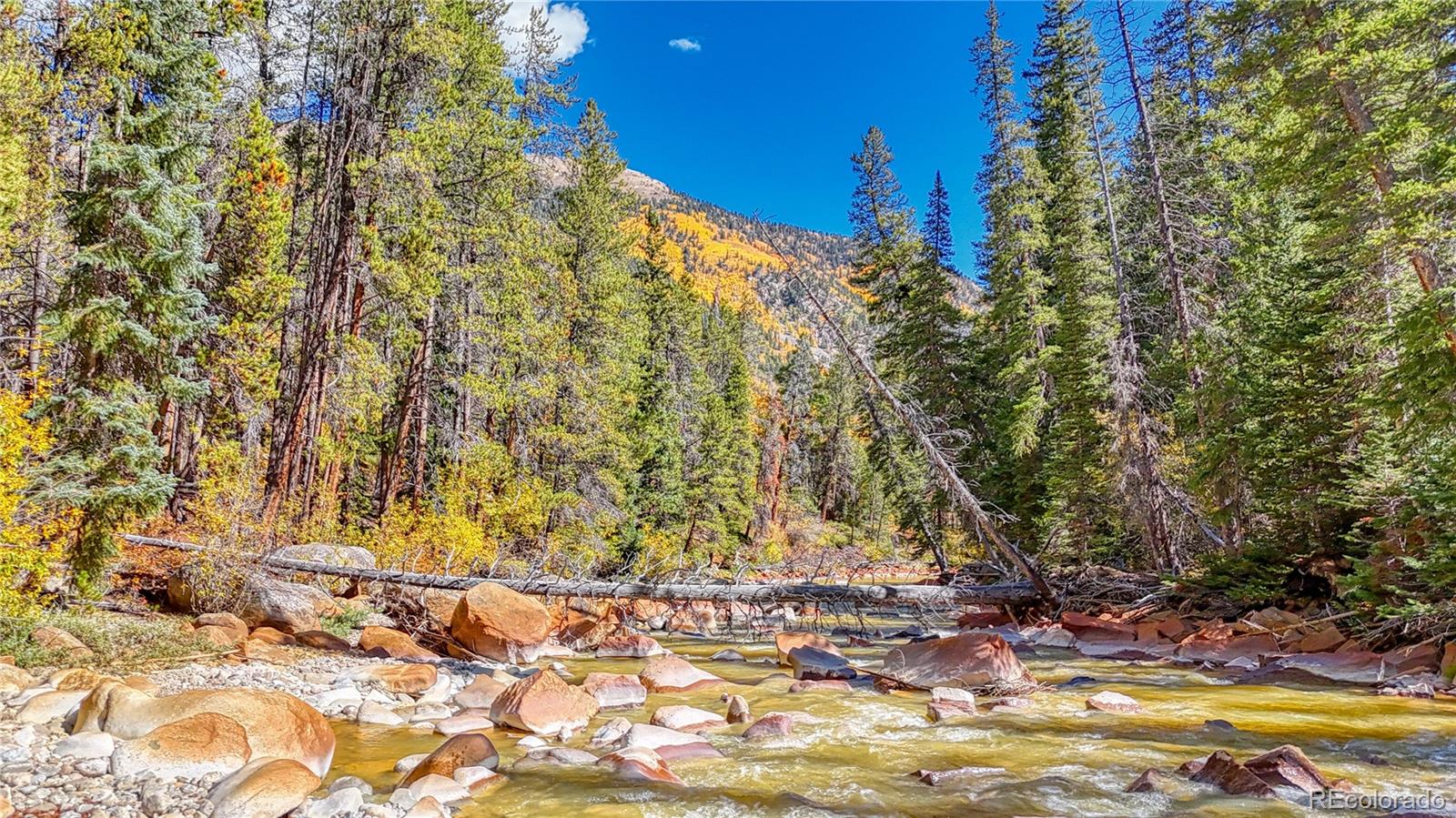 Tbd Highway 82 Twin Lakes CO 81251