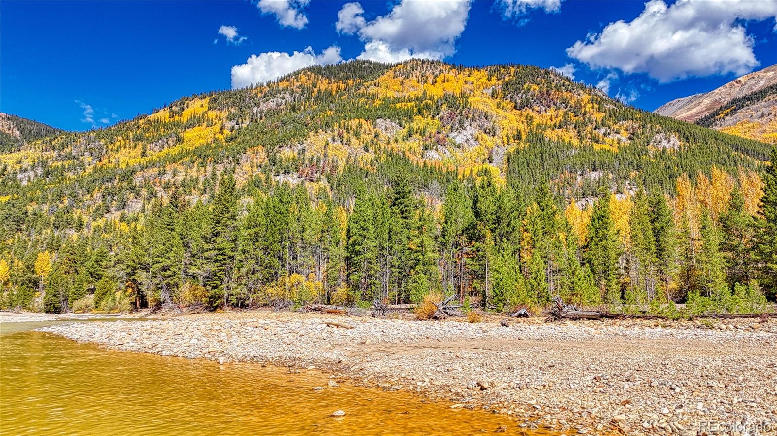 Tbd Highway 82 Twin Lakes CO 81251
