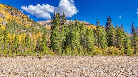 Tbd Highway 82 Twin Lakes CO 81251