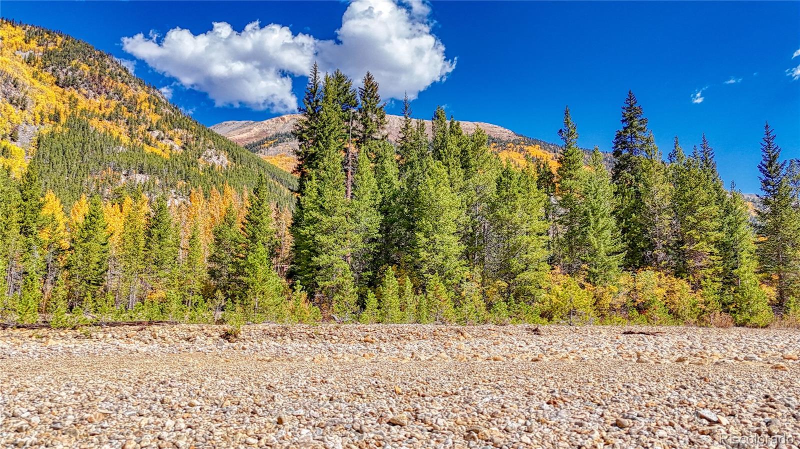 Tbd Highway 82 Twin Lakes CO 81251