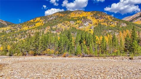 Tbd Highway 82 Twin Lakes CO 81251