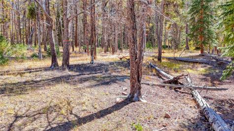 Tbd Highway 82 Twin Lakes CO 81251