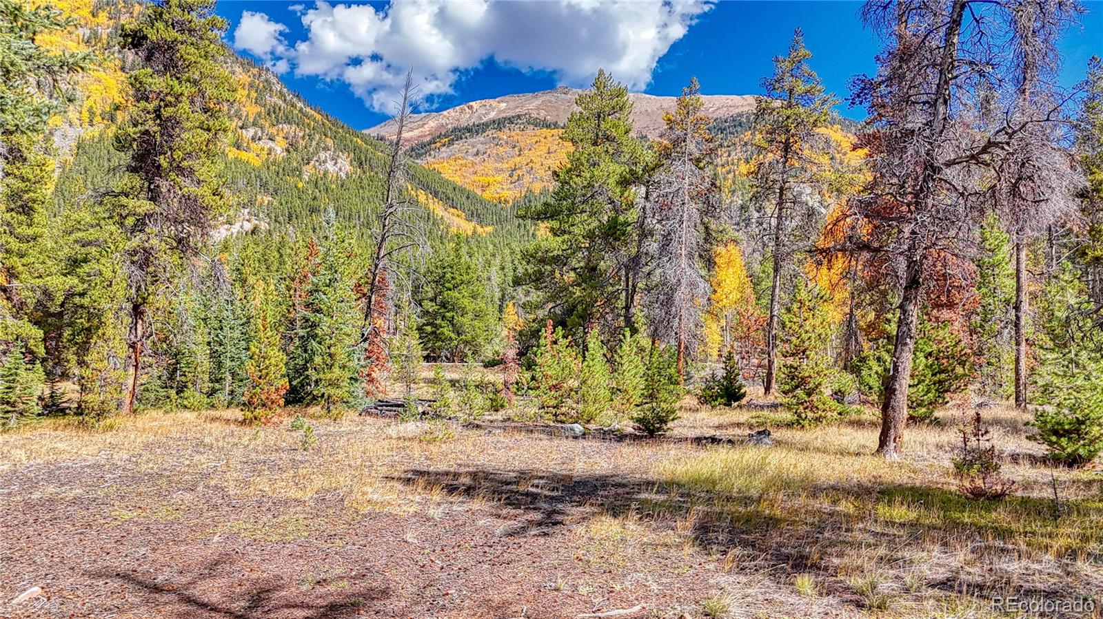 Tbd Highway 82 Twin Lakes CO 81251