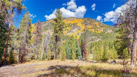 Tbd Highway 82 Twin Lakes CO 81251
