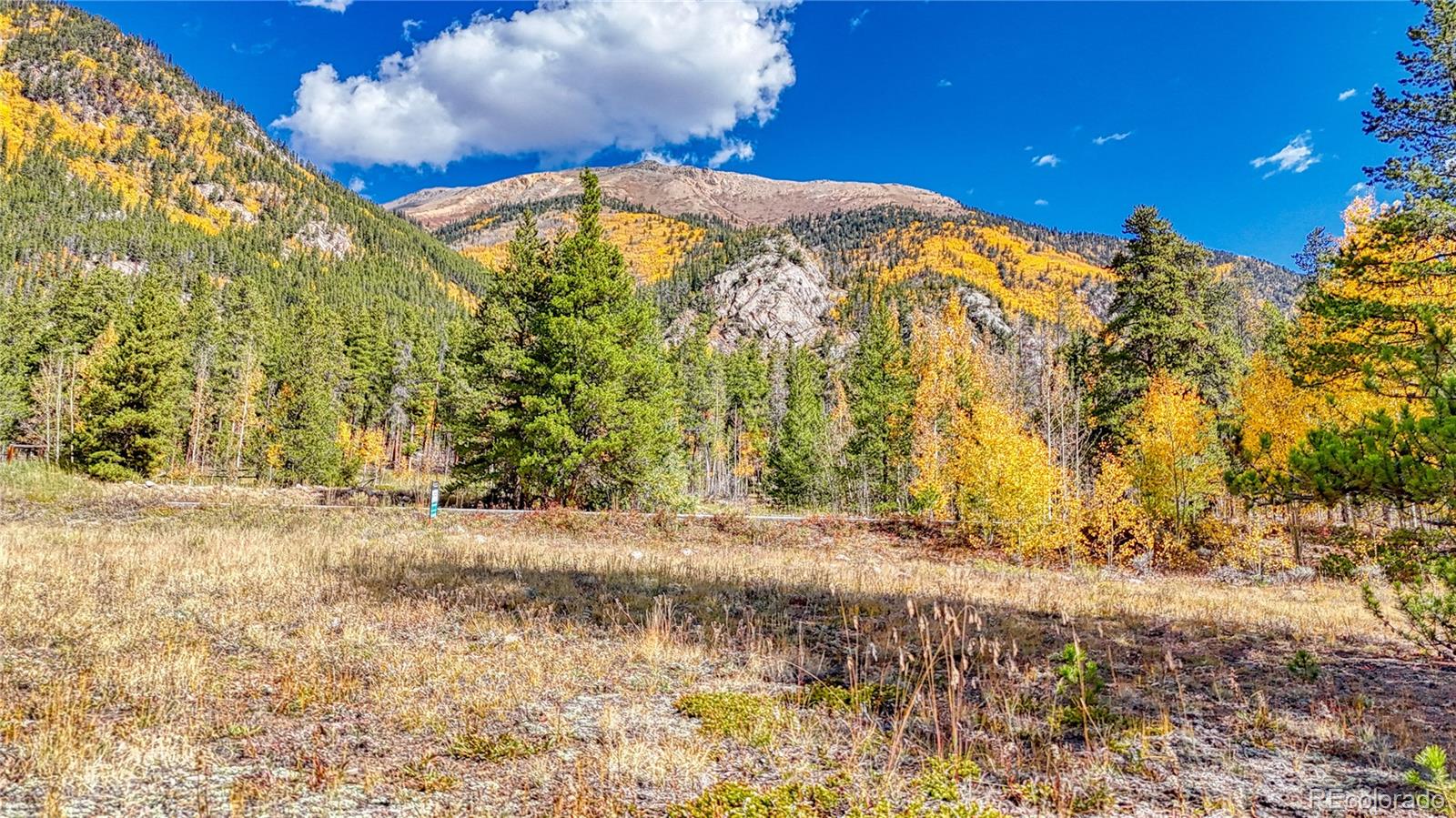 Tbd Highway 82 Twin Lakes CO 81251