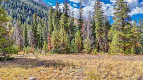 Tbd Highway 82 Twin Lakes CO 81251