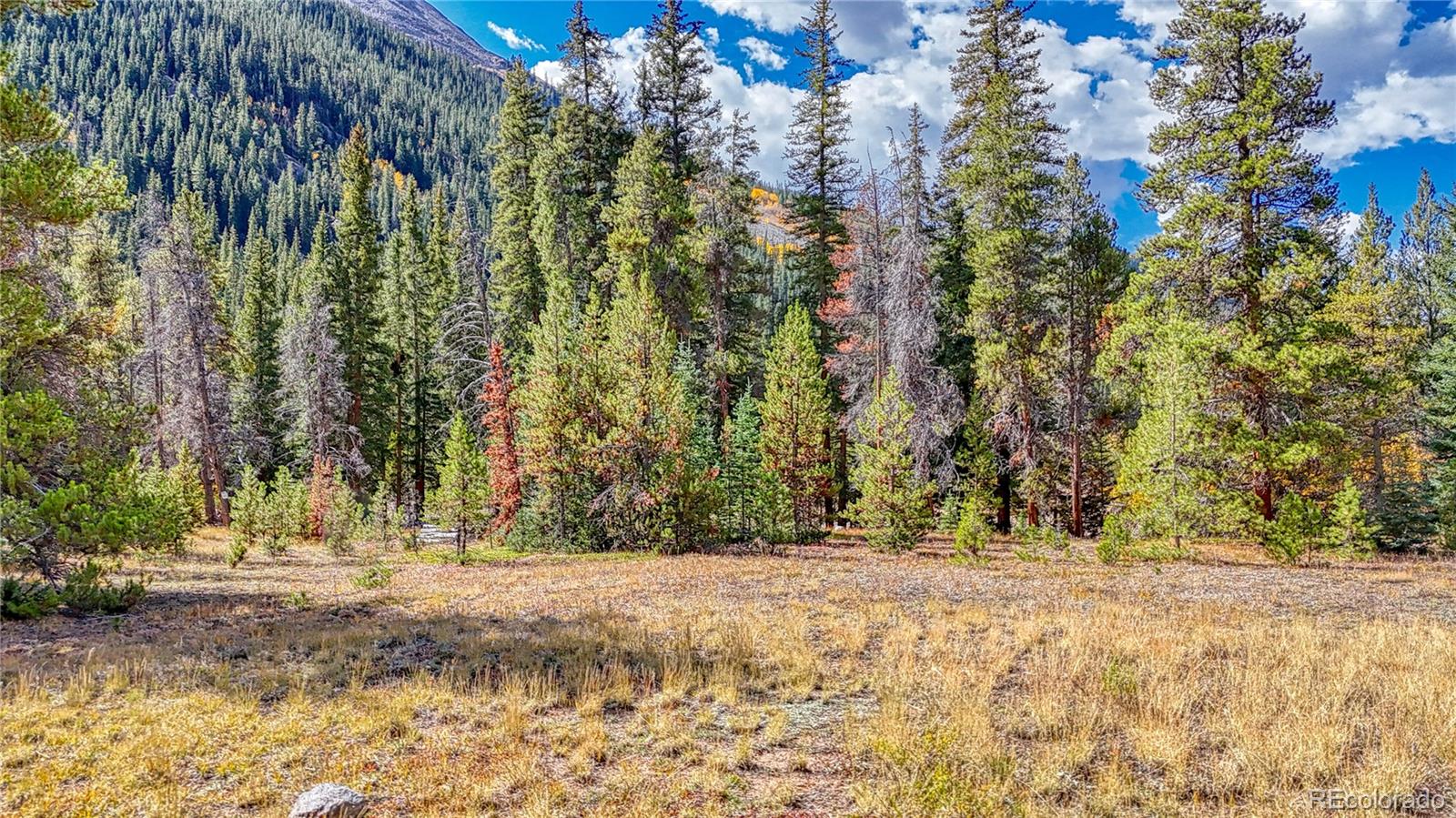 Tbd Highway 82 Twin Lakes CO 81251