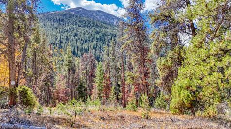 Tbd Highway 82 Twin Lakes CO 81251