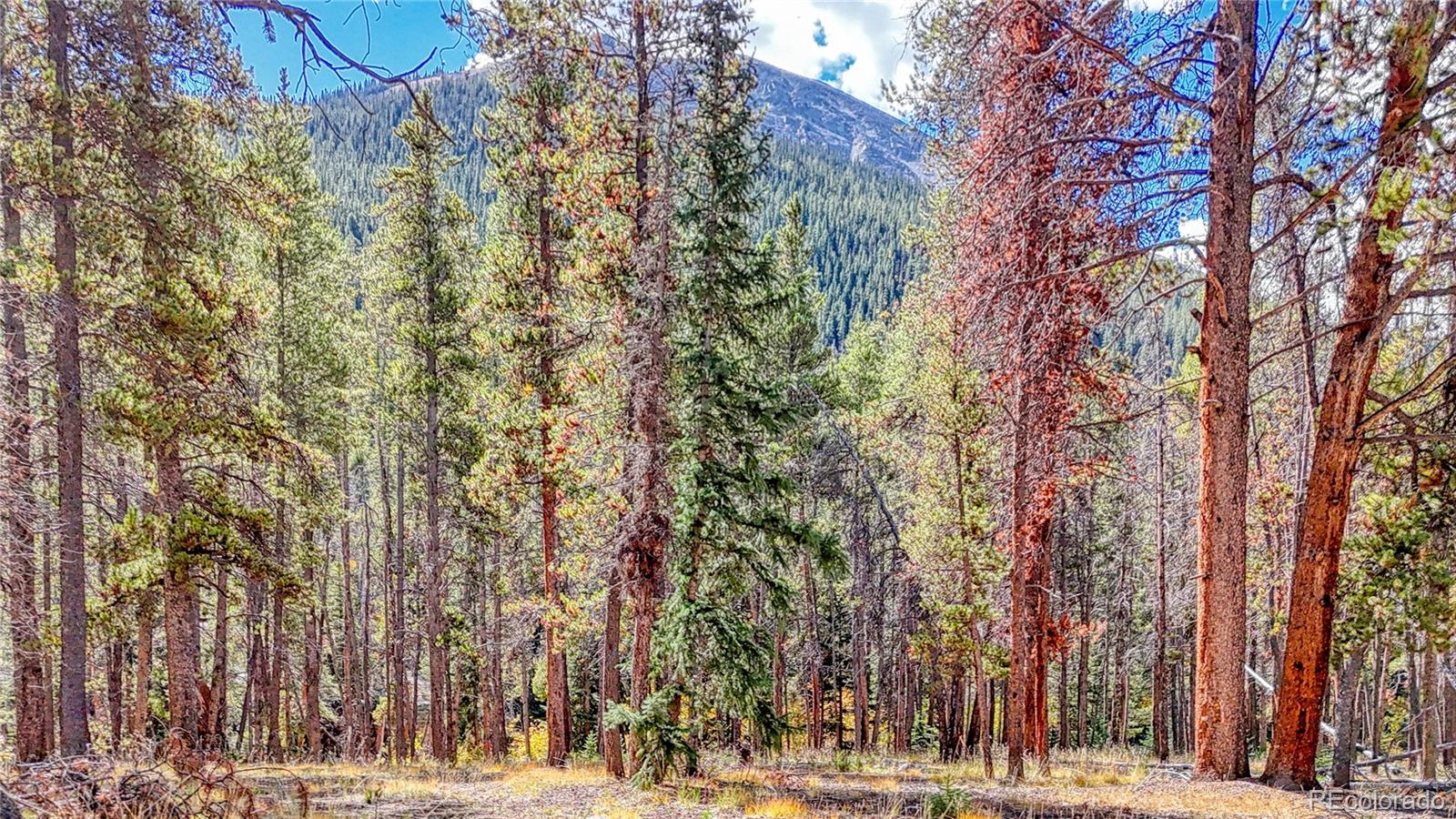 Tbd Highway 82 Twin Lakes CO 81251