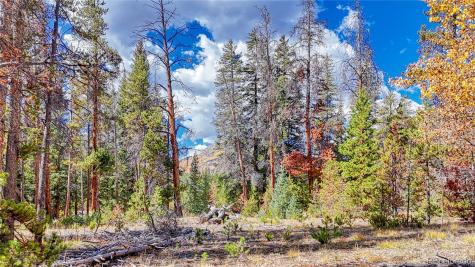 Tbd Highway 82 Twin Lakes CO 81251