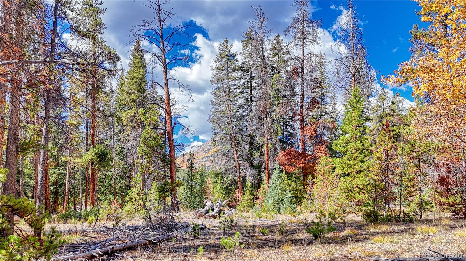 Tbd Highway 82 Twin Lakes CO 81251
