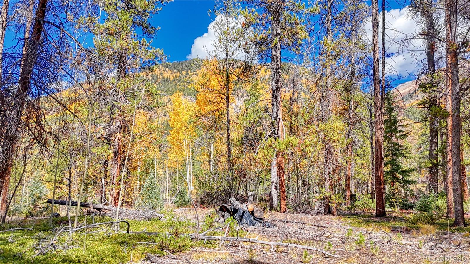 Tbd Highway 82 Twin Lakes CO 81251