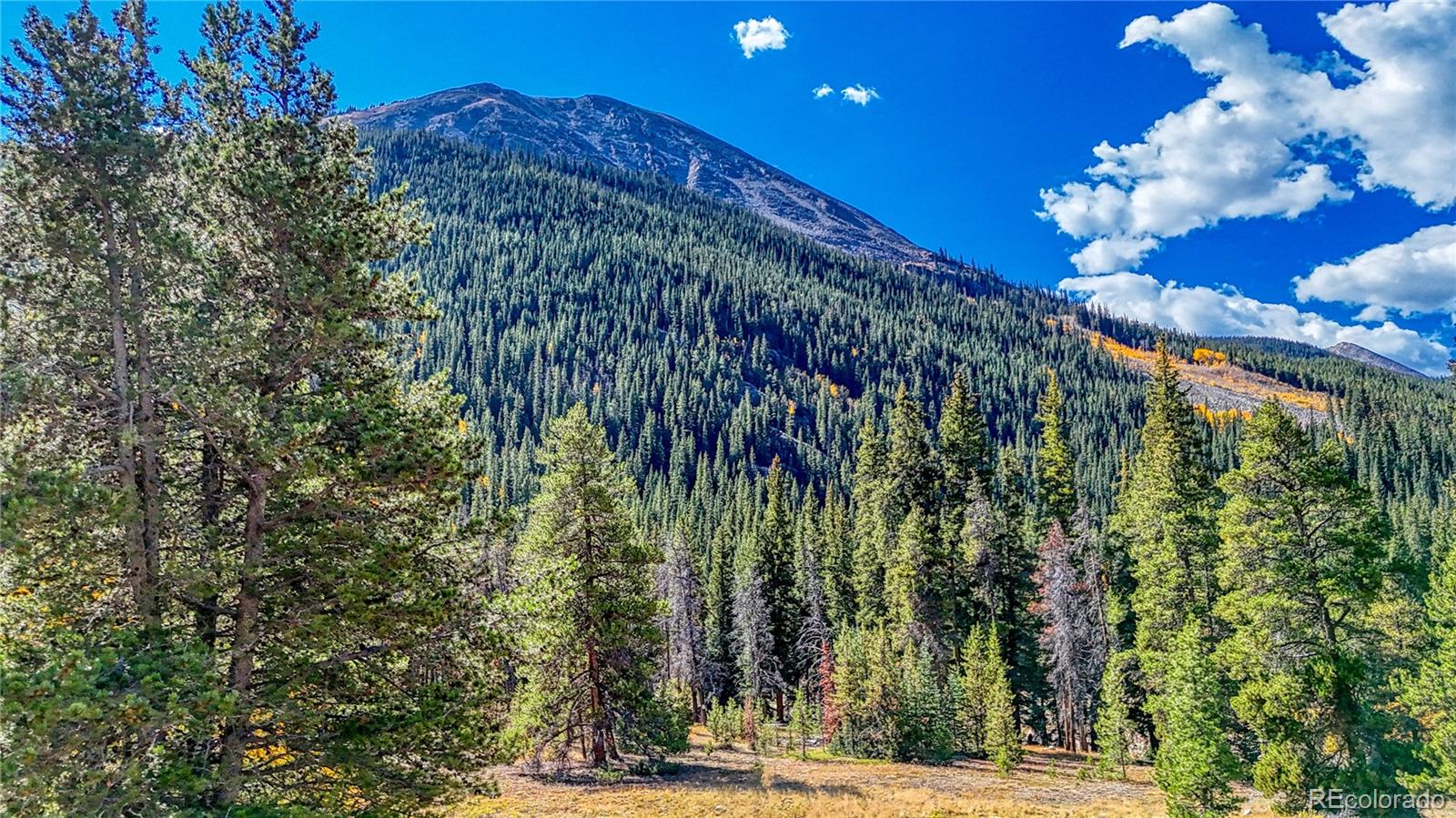 Tbd Highway 82 Twin Lakes CO 81251