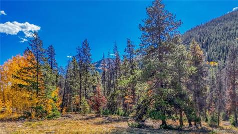 Tbd Highway 82 Twin Lakes CO 81251