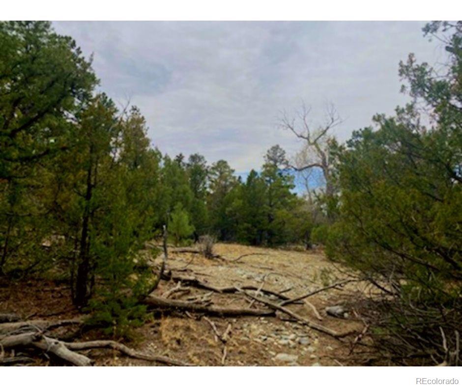 Pawnee Court Mosca CO 81146