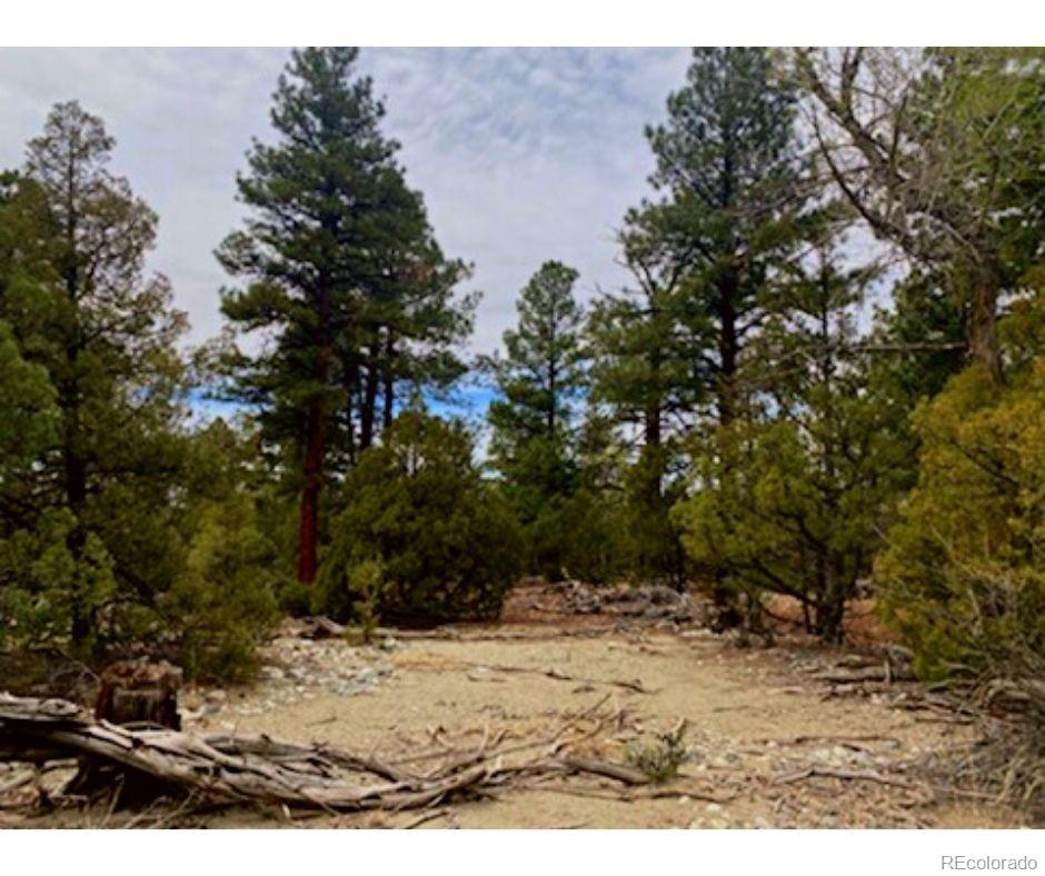 Pawnee Court Mosca CO 81146