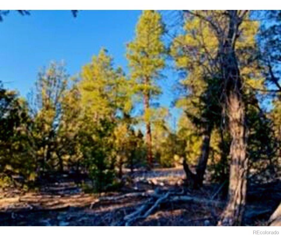 Pawnee Court Mosca CO 81146