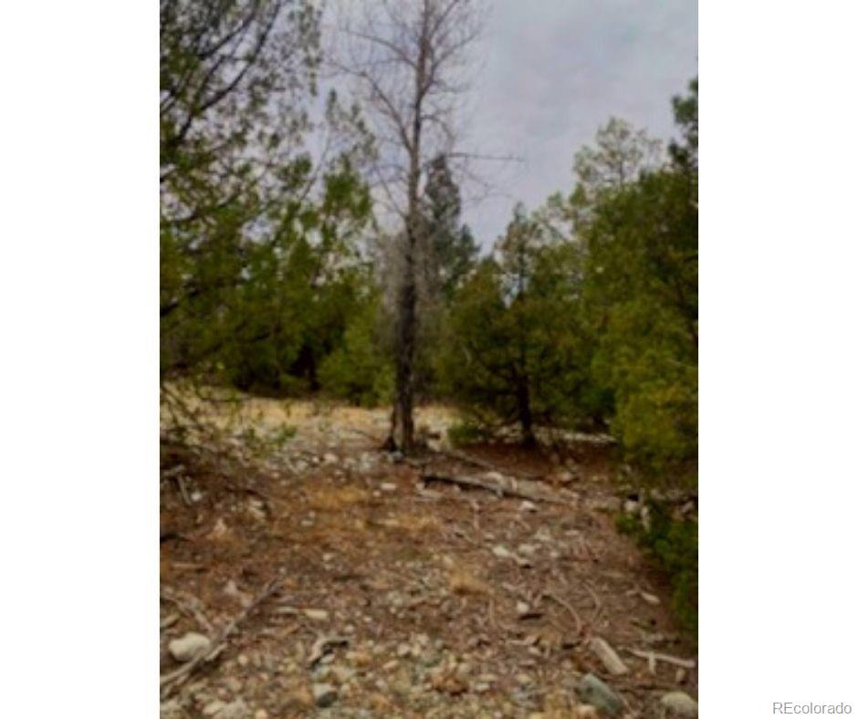 Pawnee Court Mosca CO 81146