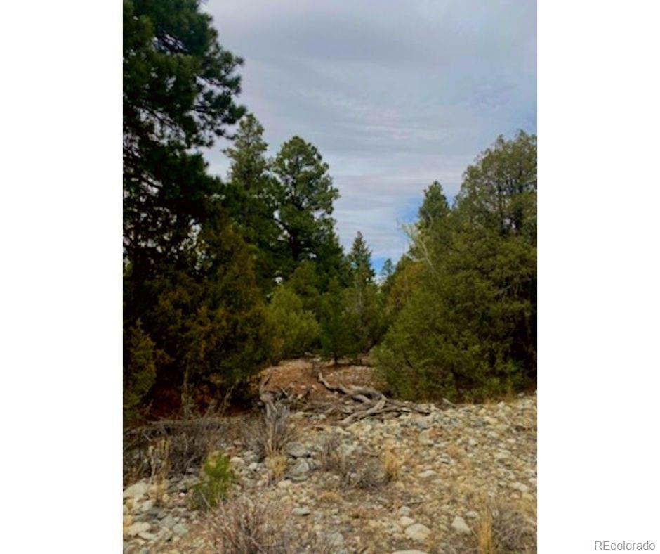 Pawnee Court Mosca CO 81146