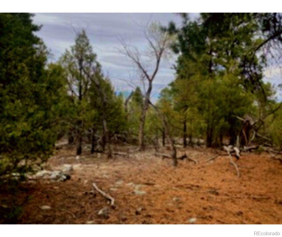 Pawnee Court Mosca CO 81146