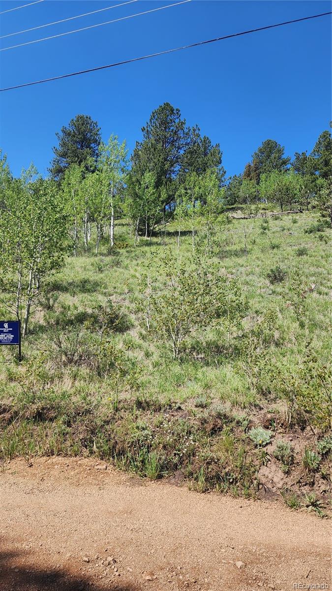 267 Ward Street Bailey CO 80421