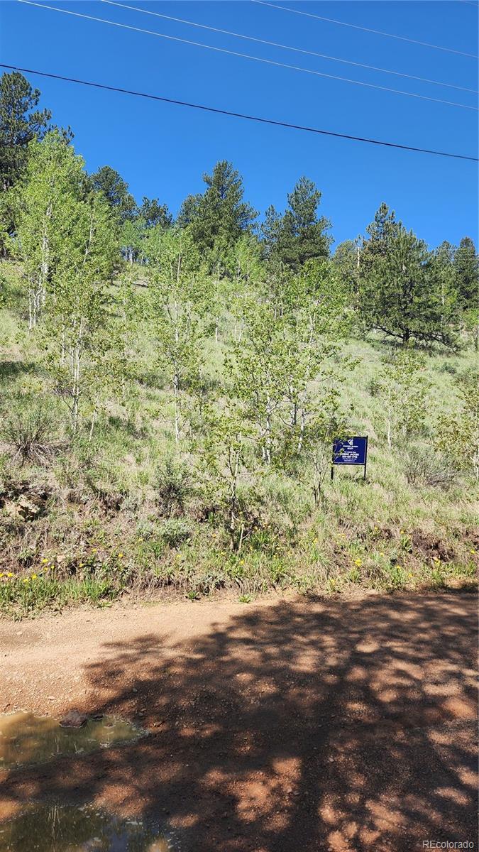 267 Ward Street Bailey CO 80421