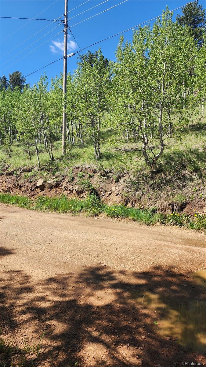 267 Ward Street Bailey CO 80421