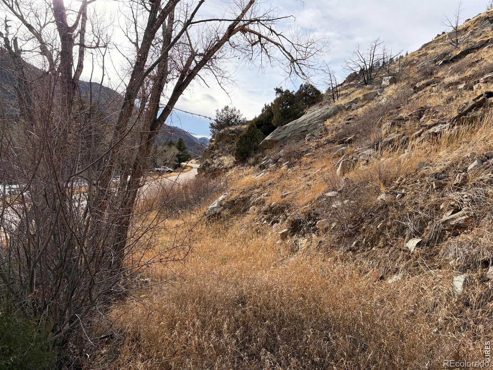 32370 Poudre Canyon Road Bellvue CO 80512
