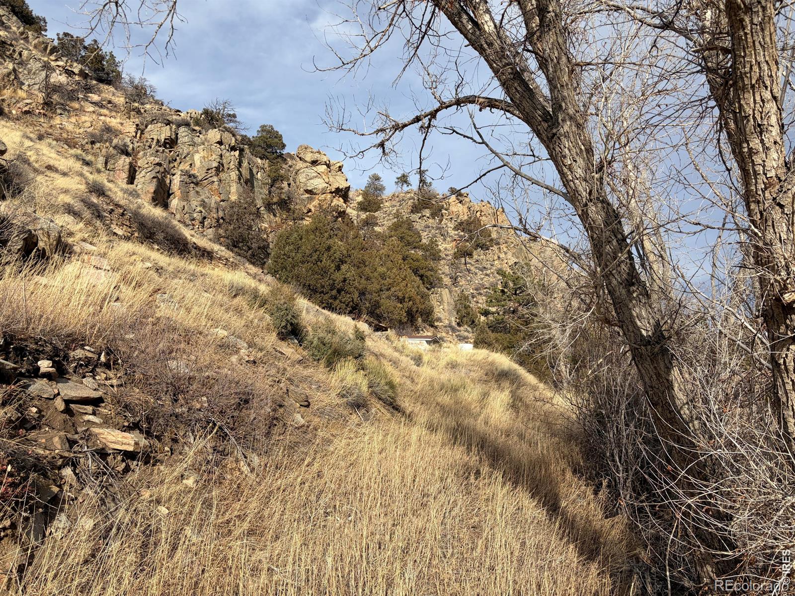 32370 Poudre Canyon Road Bellvue CO 80512