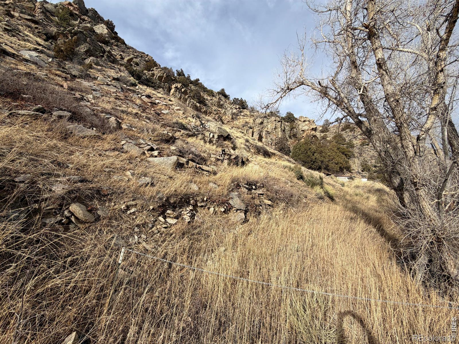 32370 Poudre Canyon Road Bellvue CO 80512