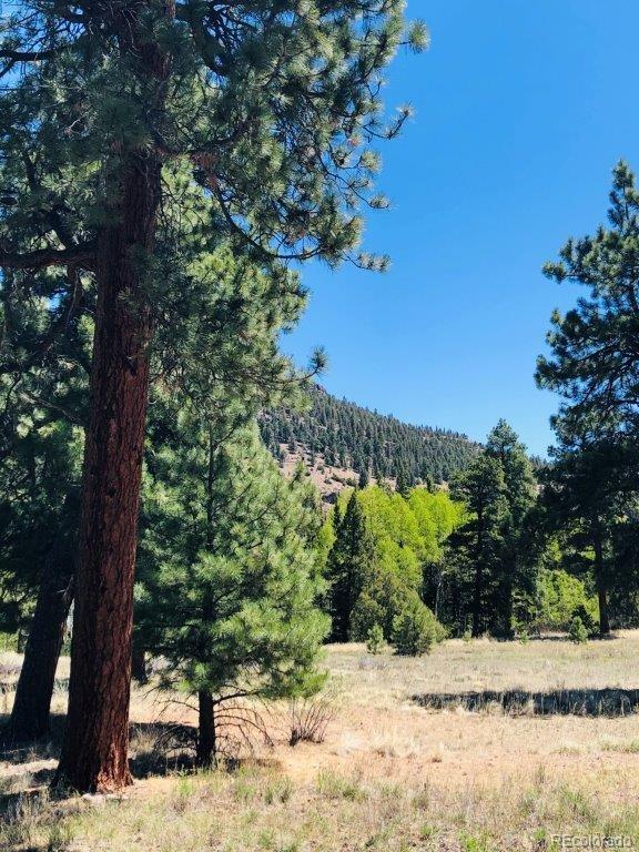 133 W Canyon View Drive Antonito CO 81120