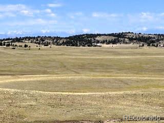 7493 Ranch Road Hartsel CO 80449