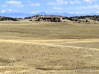 7493 Ranch Road Hartsel CO 80449