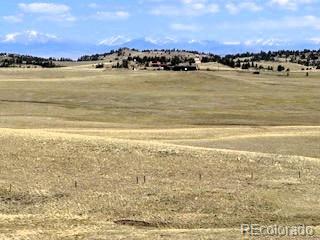 7493 Ranch Road Hartsel CO 80449