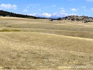 7493 Ranch Road Hartsel CO 80449