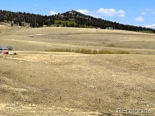 7493 Ranch Road Hartsel CO 80449