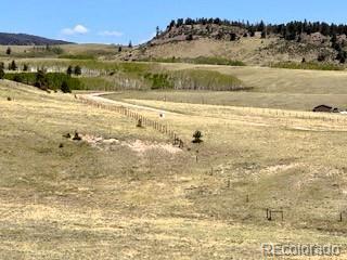 7493 Ranch Road Hartsel CO 80449