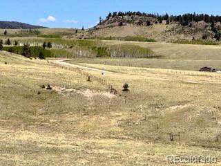 7493 Ranch Road Hartsel CO 80449