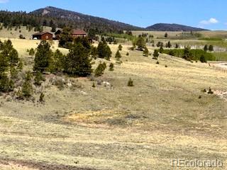 7493 Ranch Road Hartsel CO 80449