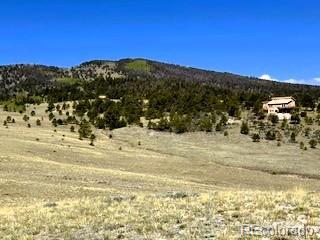 7493 Ranch Road Hartsel CO 80449