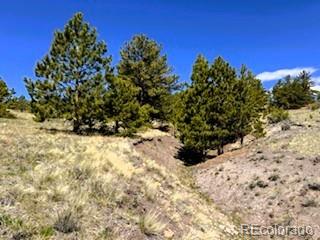 7493 Ranch Road Hartsel CO 80449