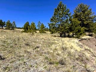 7493 Ranch Road Hartsel CO 80449