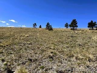 7493 Ranch Road Hartsel CO 80449