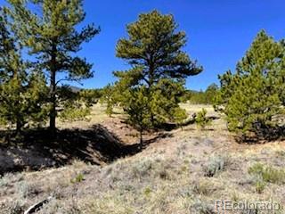 7493 Ranch Road Hartsel CO 80449