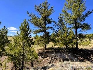 7493 Ranch Road Hartsel CO 80449