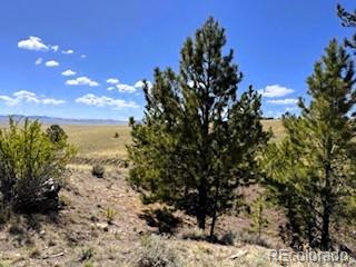 7493 Ranch Road Hartsel CO 80449